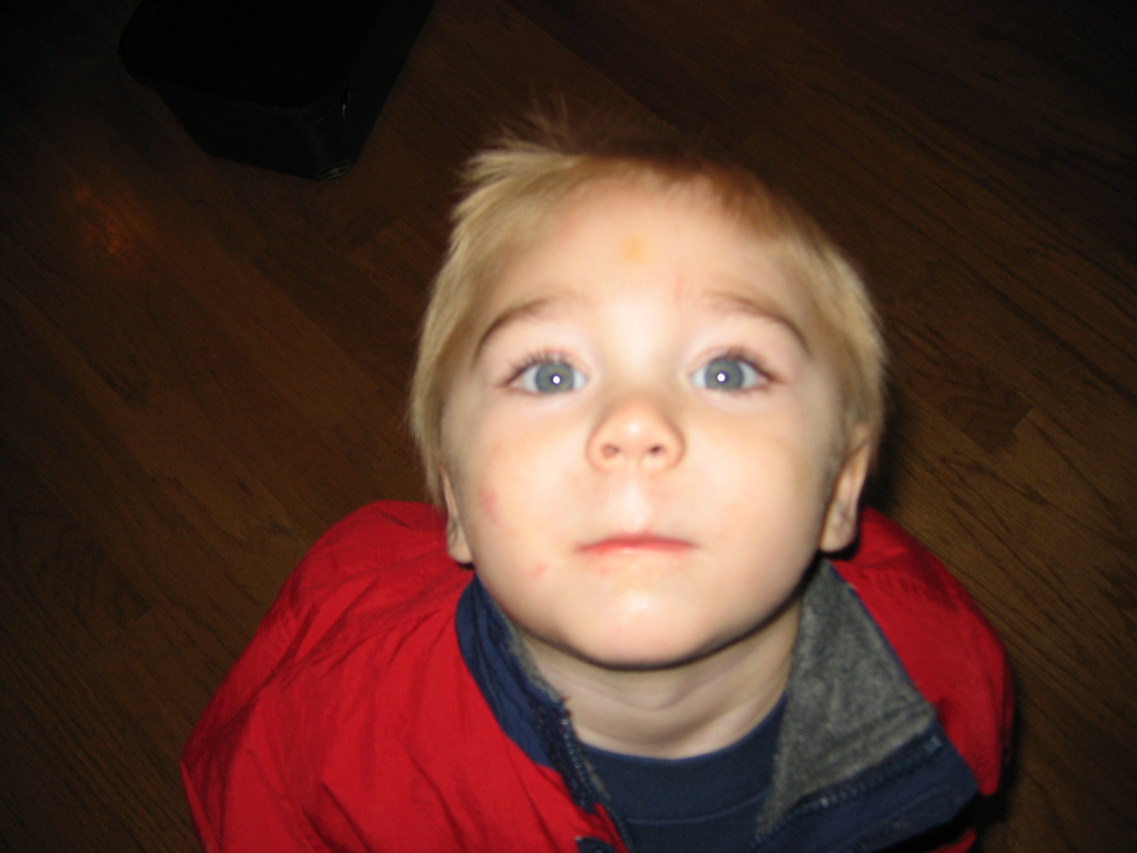 2003_11_Zander